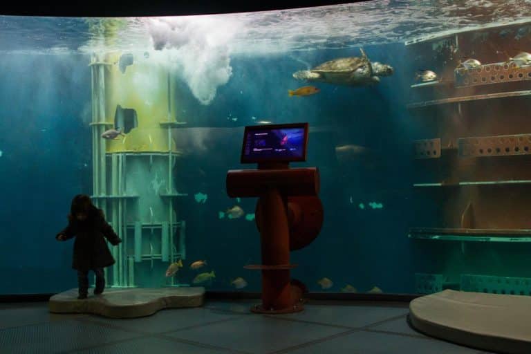 La visite du Grand Aquarium de Saint Malo