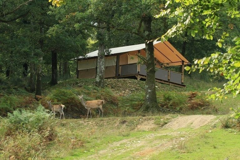 Des vacances en pleine nature à Morbihan