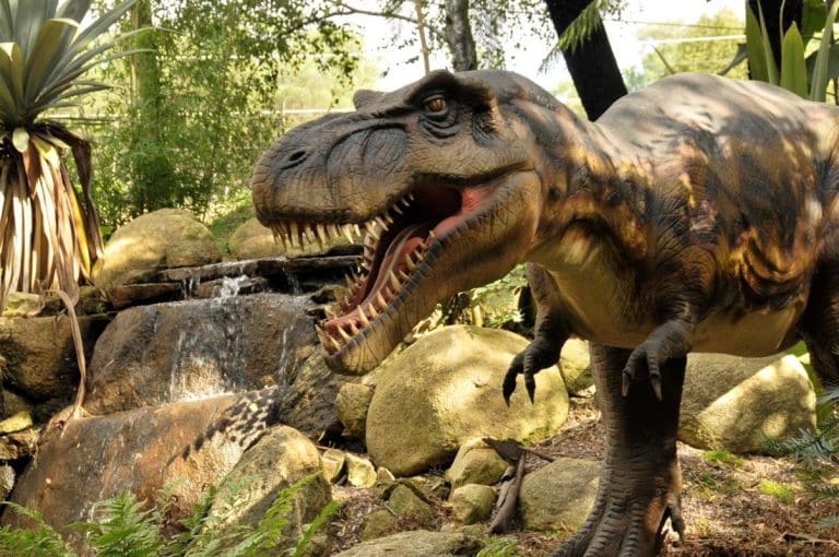 Partir à la découverte du Parc de Préhistoire de Bretagne