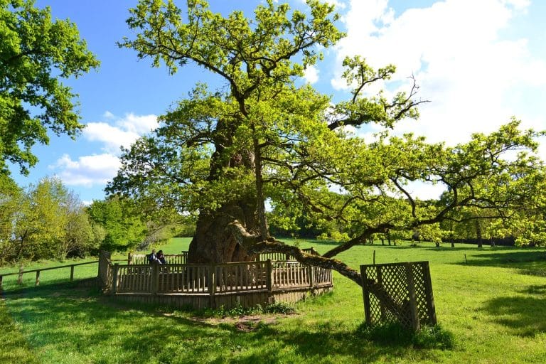 La forêt mythique d&rsquo;Huelgoat