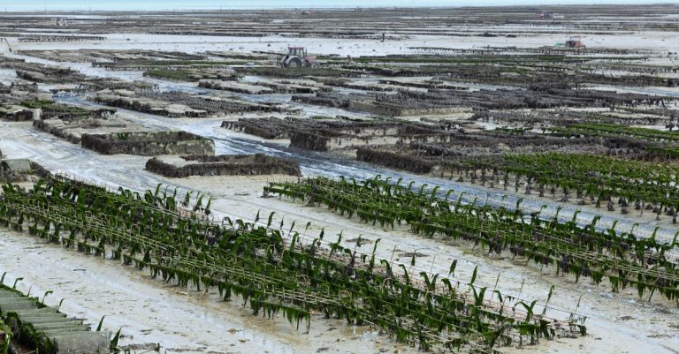Pourquoi la Bretagne est-elle si étroitement liée à la mer ?