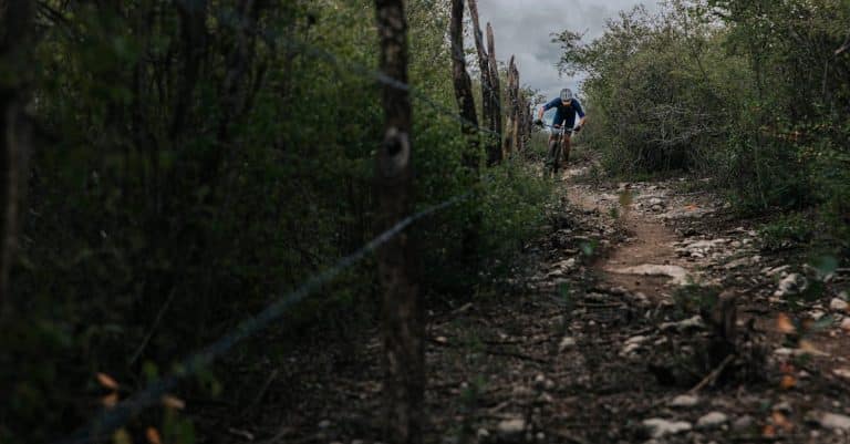 Pourquoi choisir le sentier des douaniers en Bretagne pour une randonnée ?