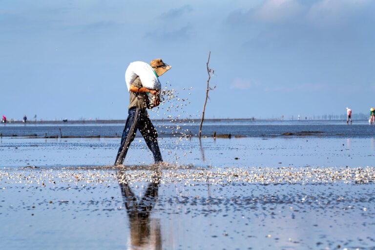 Comment profiter des plaisirs de la pêche en Bretagne ?