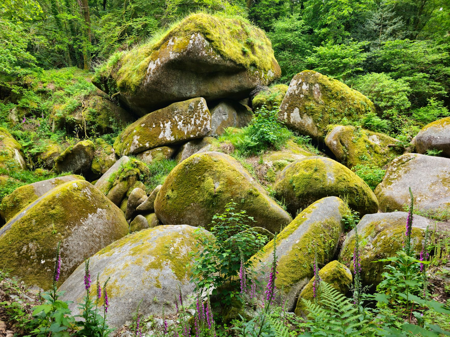 Quels sont les mystères celtiques à découvrir en Bretagne ?
