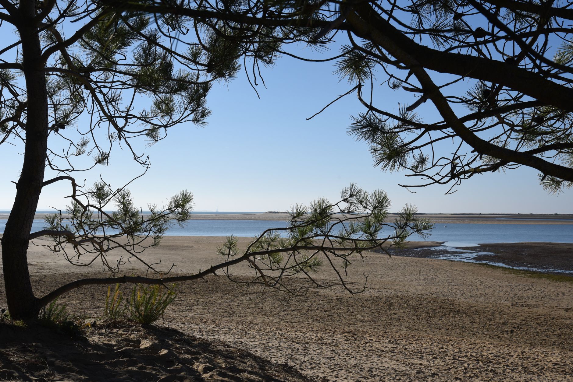 Envie d&rsquo;une escapade nature au coeur des landes bretonnes ?
