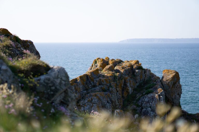 La Bretagne est-elle en parfaite harmonie avec la nature ?