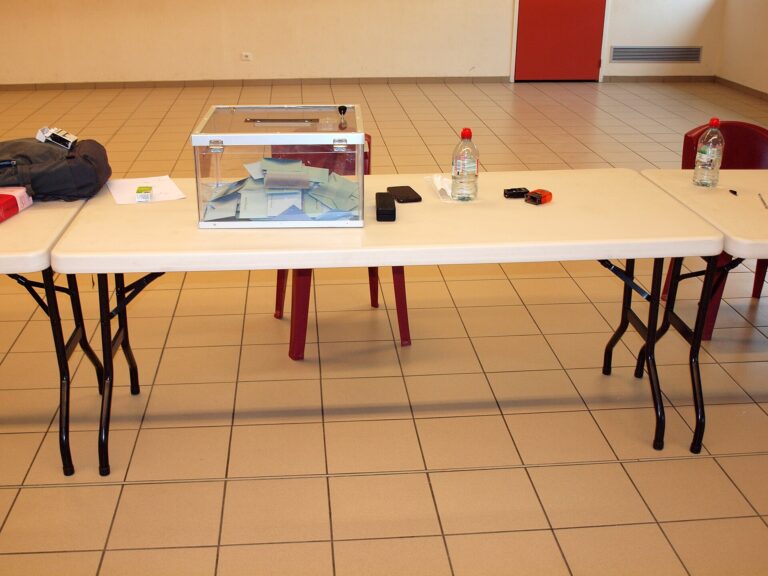 Primaire de la gauche : des robots saturent le vote en ligne